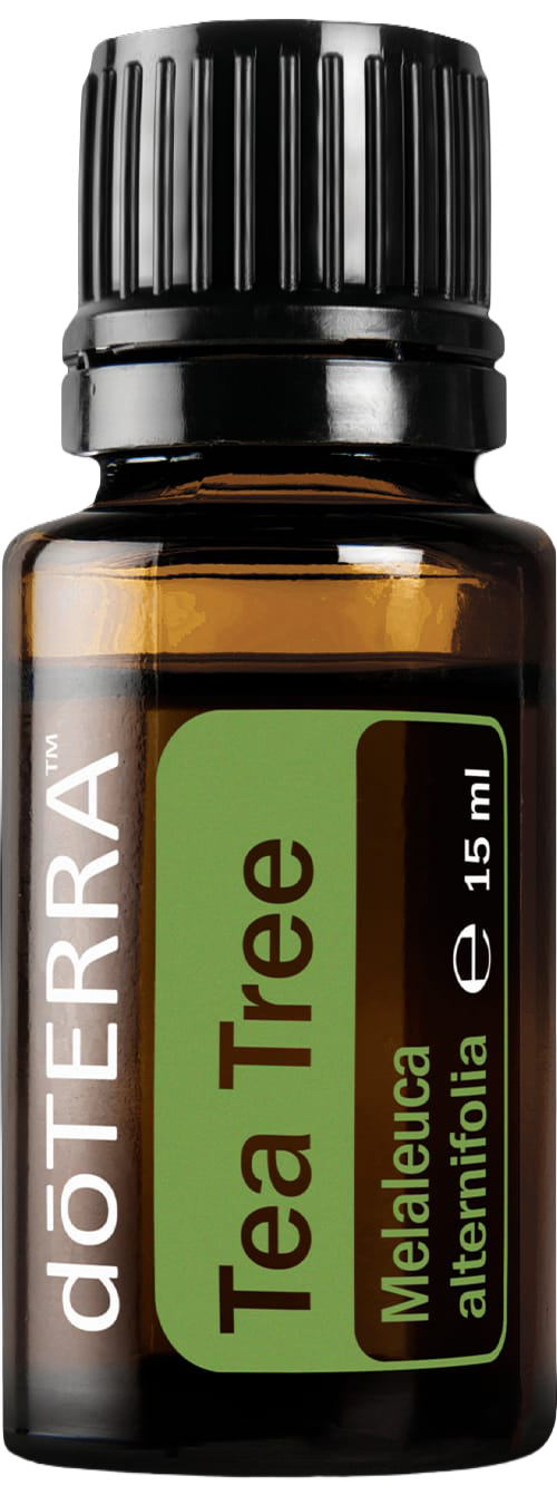 Tea Tree Öl